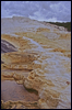 Mammoth Hot Springs